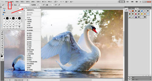 Adobe Photoshop CS5 extended