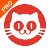 猫眼专业版app 下载