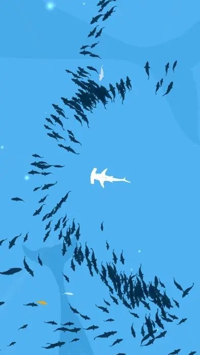 Shoal of fish˹