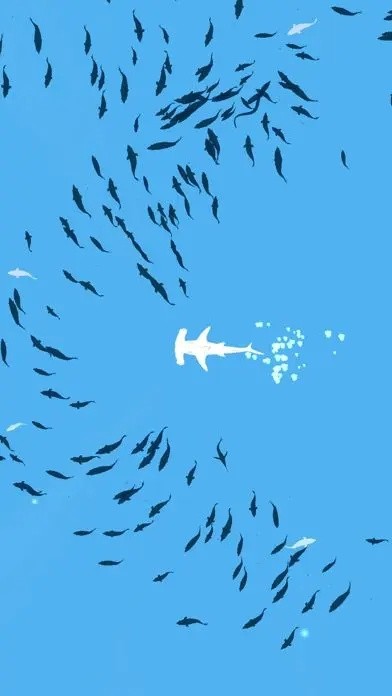 Shoal of fish˹