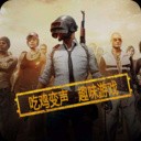 �Լ�����������