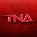 tna񶷴  v1.0.1