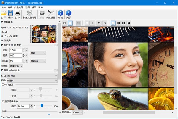 benvista photozoom pro8ƽרҵ