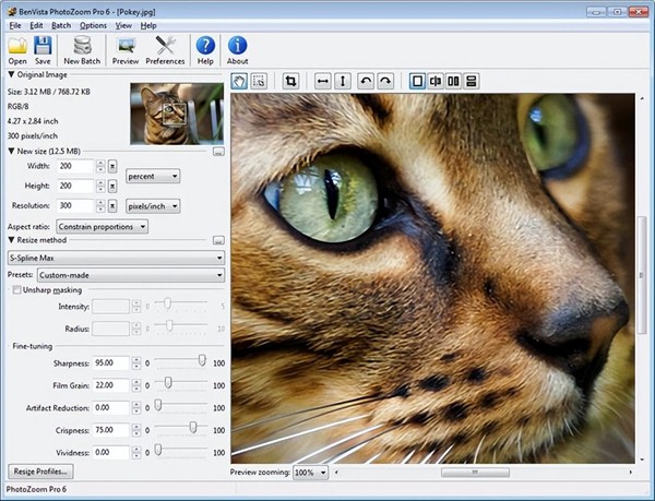 benvista photozoom pro8ƽרҵ