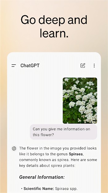 ˹chat gpt4.0ֻ