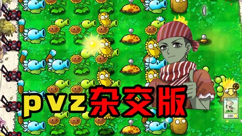 pvz汾ȫ