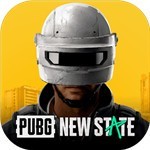 com.pubg.newstate