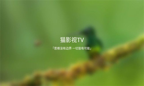 貓影視TV盒子官方版最新下載