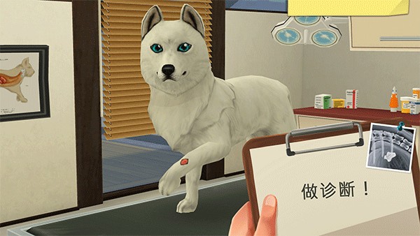 ҵĳҽԺ޽ʯ