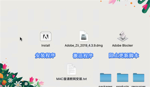 dw2021 Mac