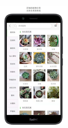 ʶapp