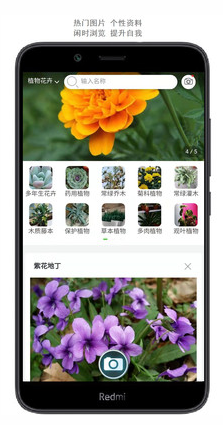 ʶapp