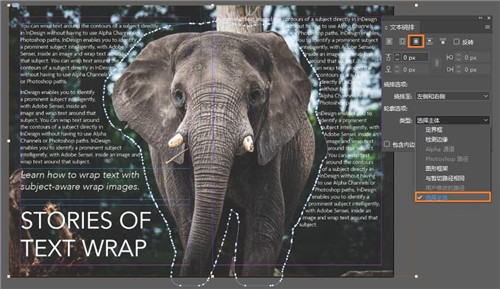 Adobe InDesign 2021 mac綠色版