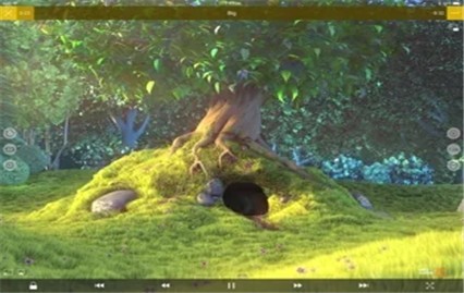 nplayer��׿����ɫ��