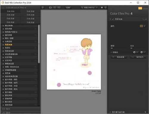 nik collection�˾�����