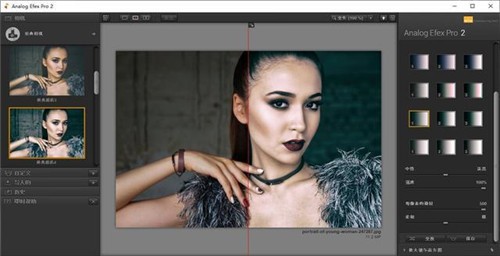 nik collection 2021��ɫ������