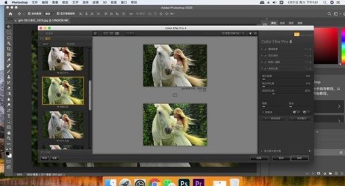 nik collection 3 mac��ɫ������