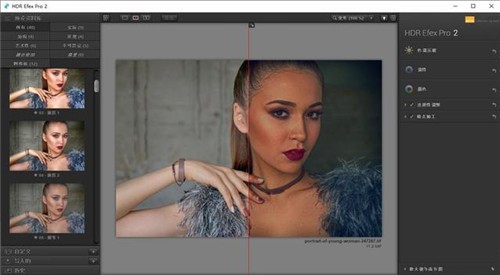 nik collection2021������ɫ������