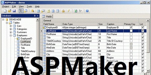 ASPMaker��չ�������
