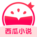 西瓜小說app