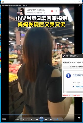 ��үС��Ƶȥˮӡ��������