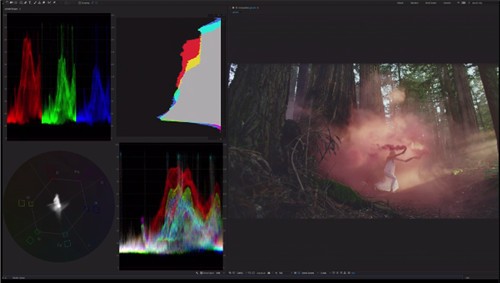 AE2021��ɫ��for mac����