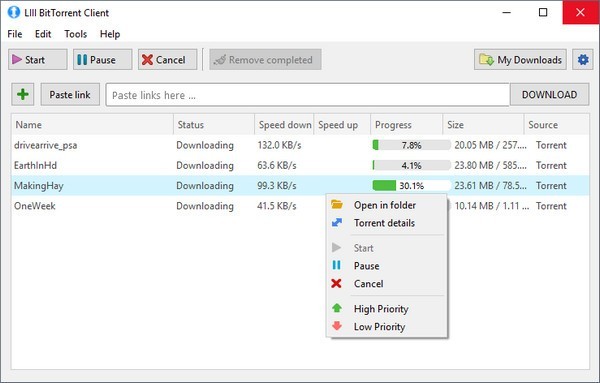 LIII BitTorrent Client��Դ��������