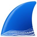 Wiresharkץ v3.4.5 ɫ