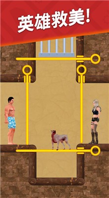 ���洳����������