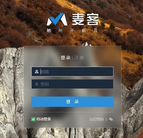 麦客表单官方电脑版下载