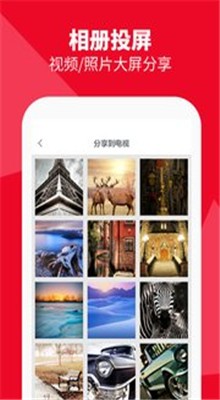 �����ֻ�ң����app����