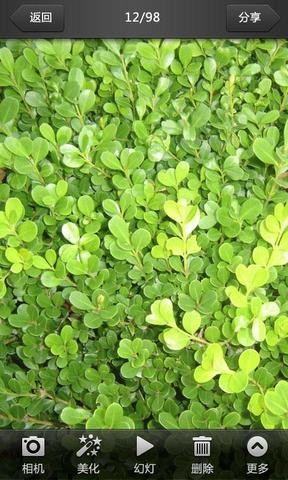 ��������app����