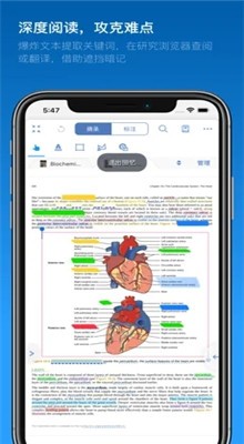 marginnote�ֻ�������