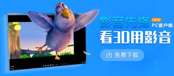 real player����������