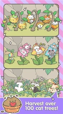 �ҵ�è��������Ϸ����