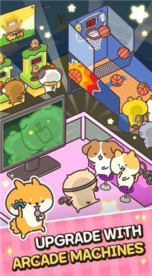 ������ż�����İ�����