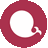 echarts v5.0.2