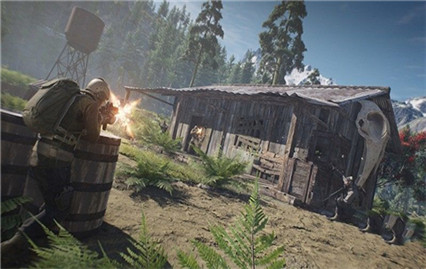 �����ж���Ұ��������