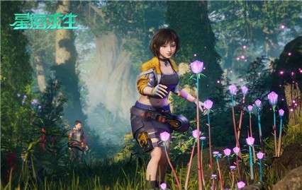 �Ǻ�������������