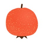 山楂免費小說app