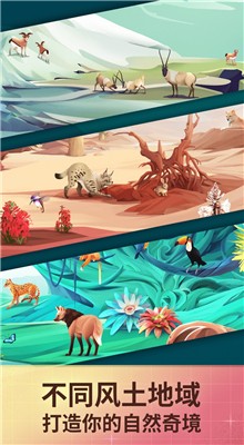 �����澳��Ϸ����