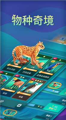 �����澳��Ϸ����