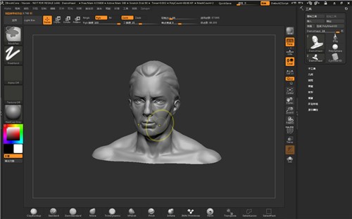 zbrush2021����