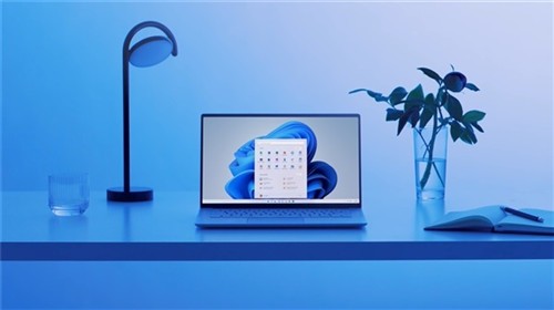 appraiserres.dll����win11