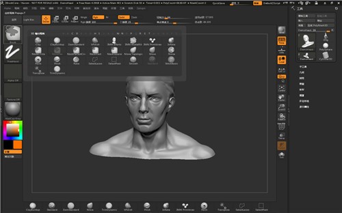 ZBrushCoremini����