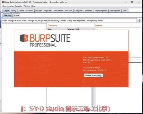 Burpsuite��ɫ��2024