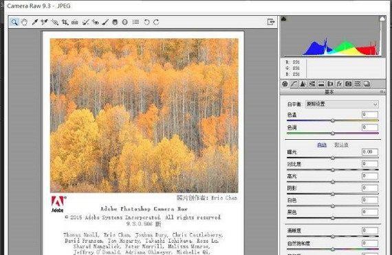 Camera Raw��ɫ������