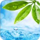 һ v4.1.2