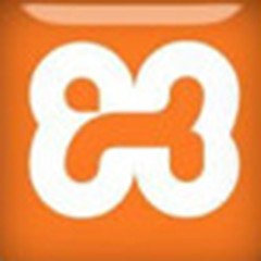 xampp v8.0.8