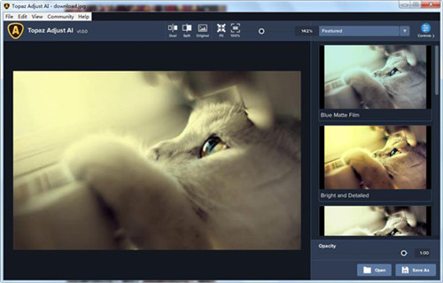 Topaz Adjust AI����������ɫ��